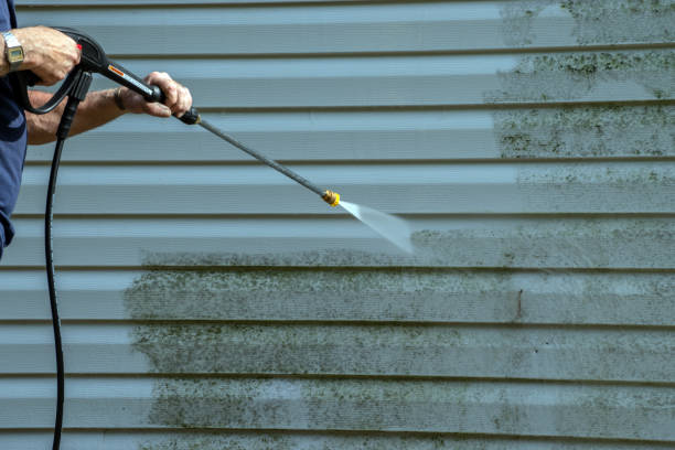 Best Roof Cleaning and Mildew Removal in Becker, MN